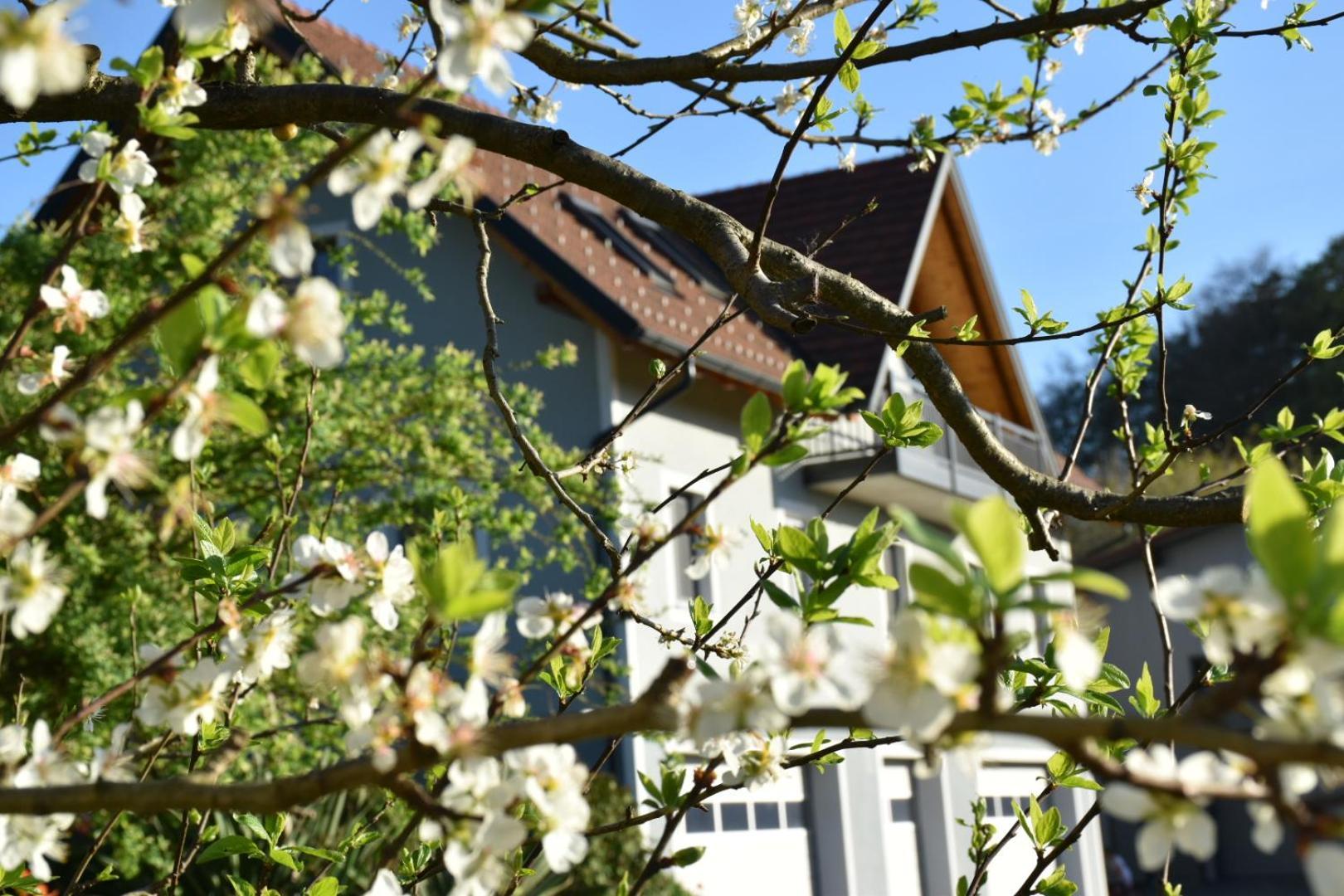 Ferienhaus Am Hof Zotter Riegersburg Eksteriør bilde